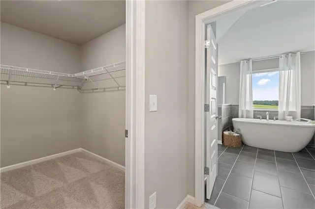 a bathroom with a bathtub and shower