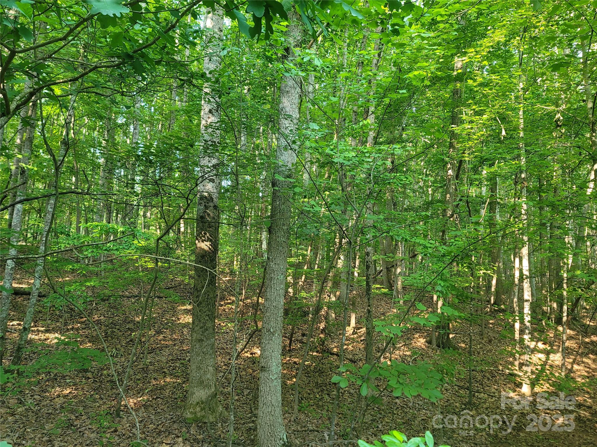 L177 Laurel Cove Road Statesville, NC 28677 - Photo 5 of 11