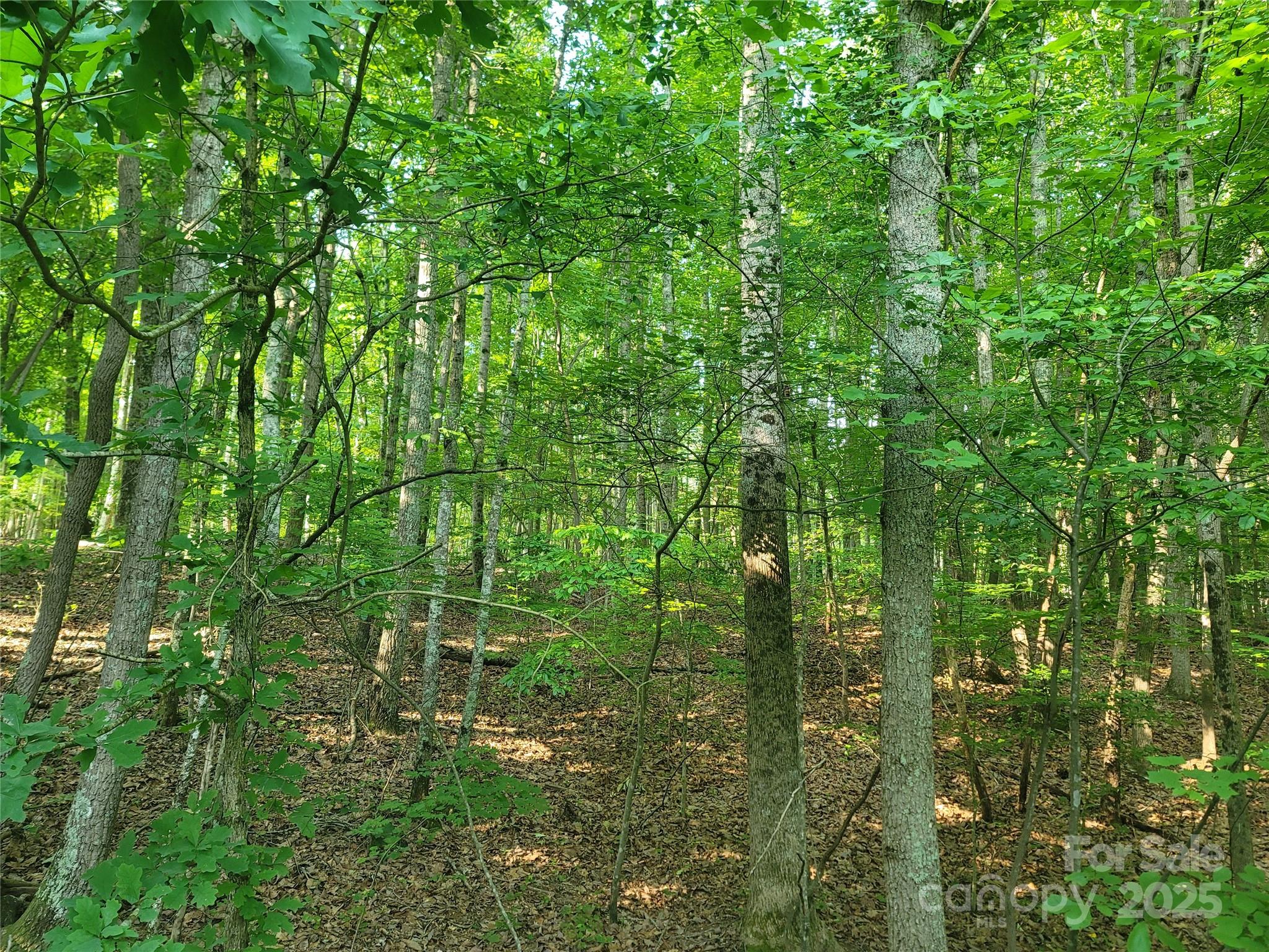 L177 Laurel Cove Road Statesville, NC 28677 - Photo 6 of 11