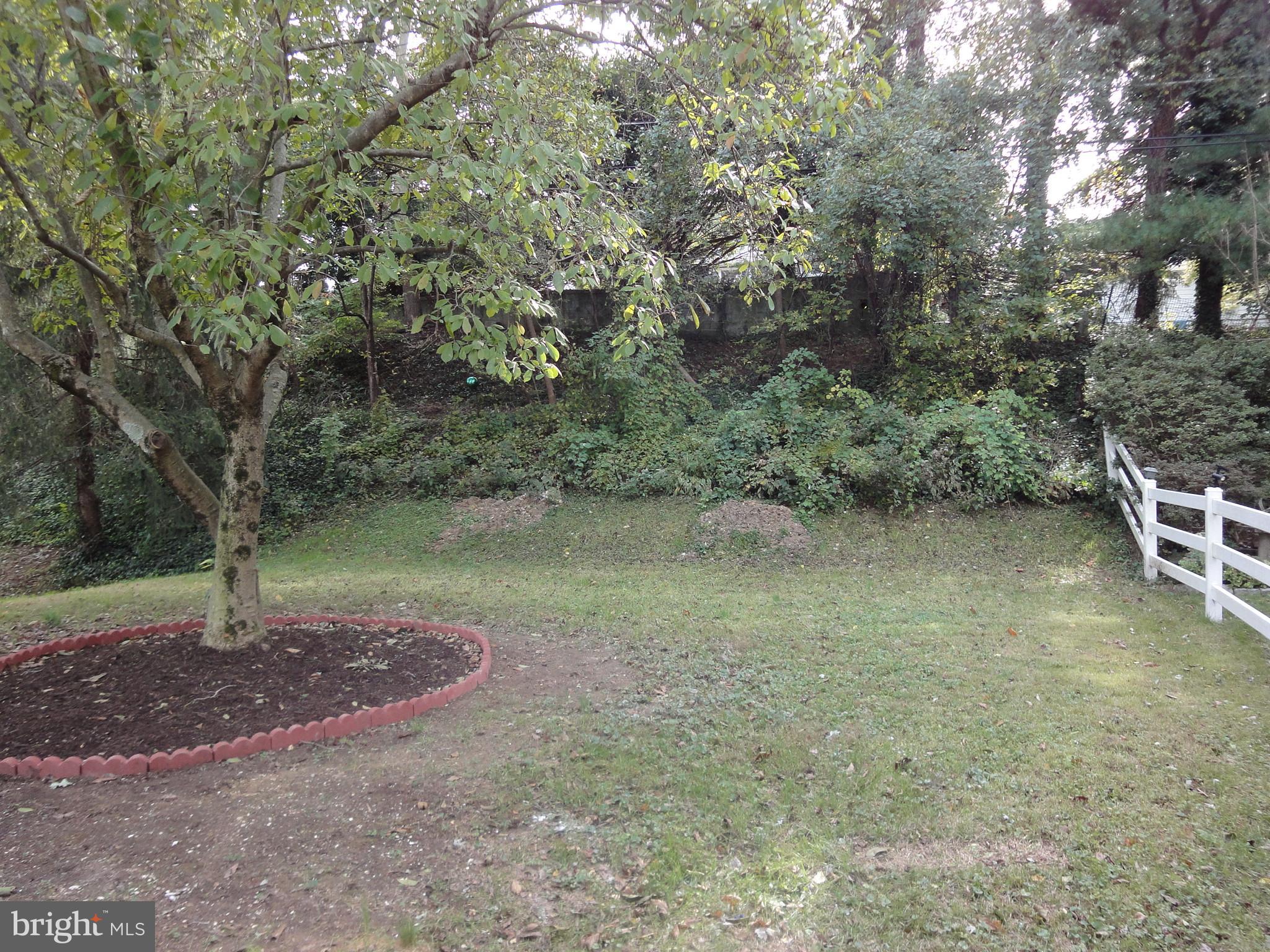 1307 Brixton Road Baltimore, MD 21239 - Photo 25 of 25 Backyard