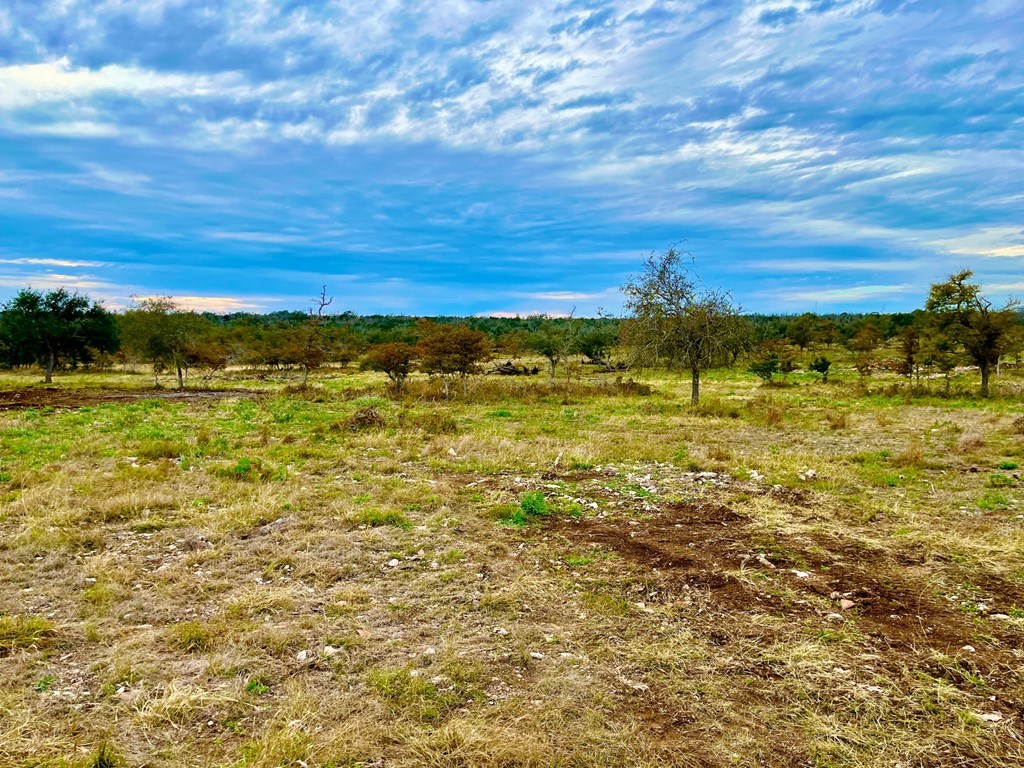 Lot 5 Jung Road, Unit 5 Harper, TX 78631 - Photo 11 of 13