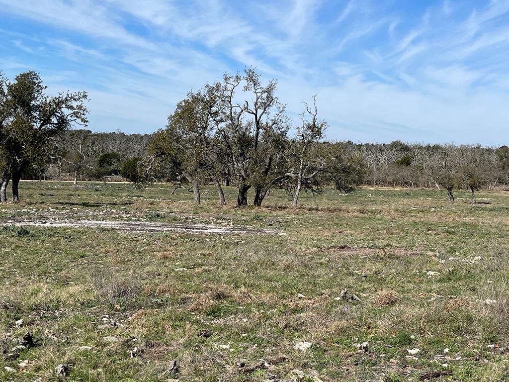 Lot 5 Jung Road, Unit 5 Harper, TX 78631 - Photo 12 of 13