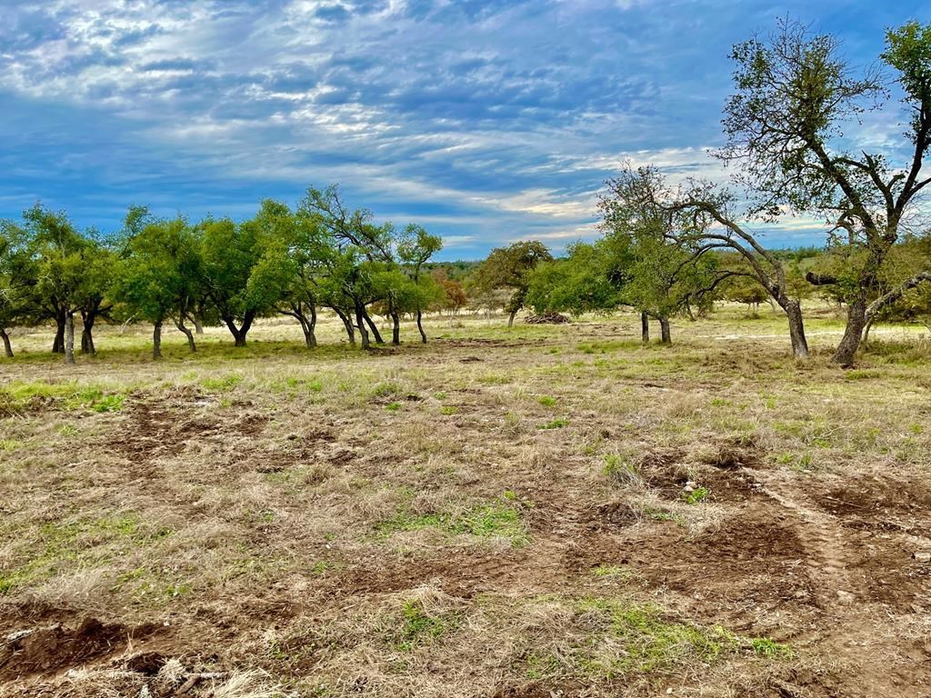 Lot 5 Jung Road, Unit 5 Harper, TX 78631 - Photo 6 of 13