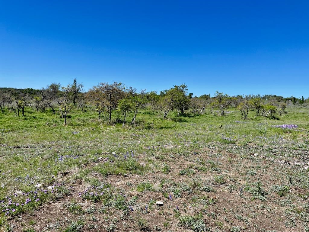 Lot 5 Jung Road, Unit 5 Harper, TX 78631 - Photo 8 of 13