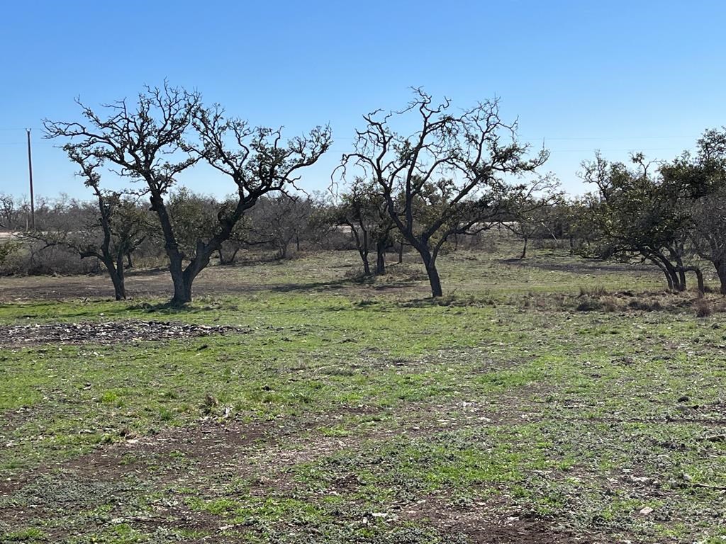 Lot 5 Jung Road, Unit 5 Harper, TX 78631 - Photo 9 of 13