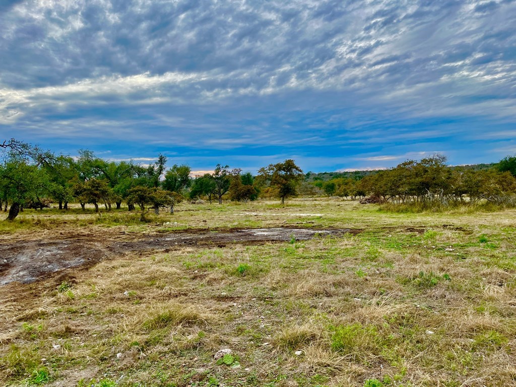 Lot 5 Jung Road, Unit 5 Harper, TX 78631 - Photo 10 of 13