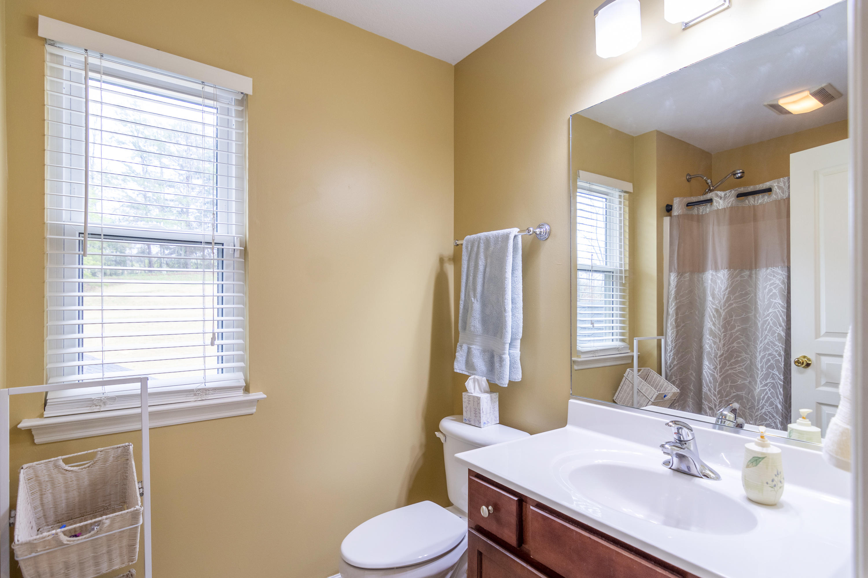 1445 Wineberry Road Powell, TN 37849 - Photo 18 of 35 1445 Wineberry_017