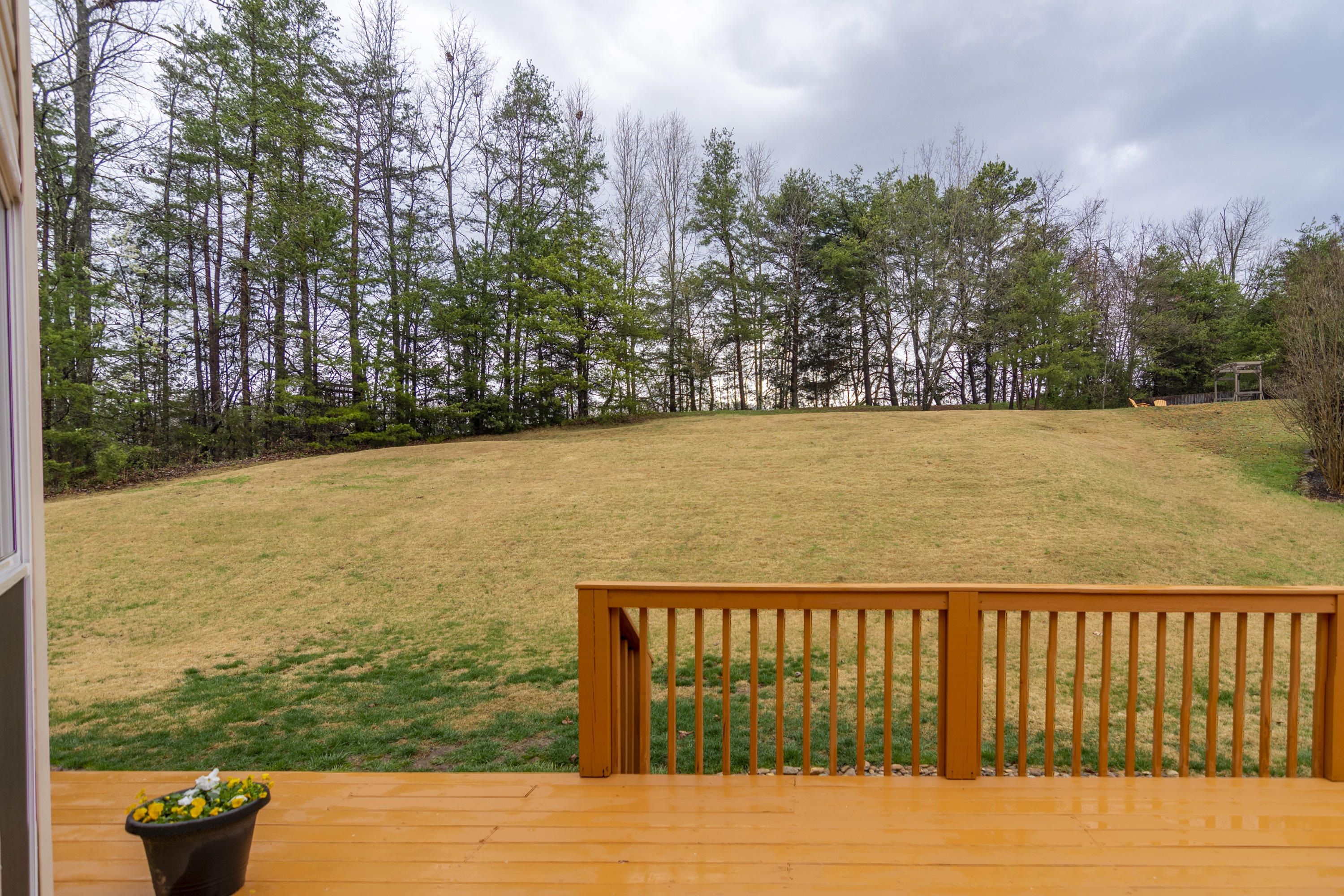 1445 Wineberry Road Powell, TN 37849 - Photo 31 of 35 1445 Wineberry_030