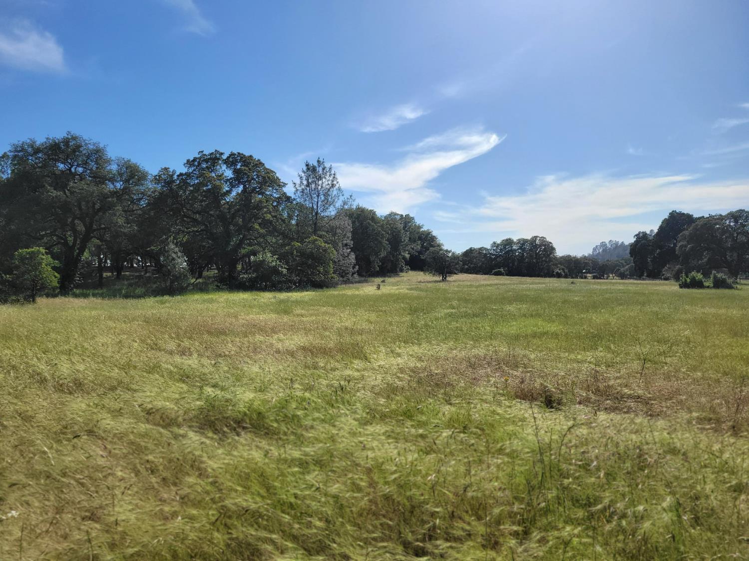 19838 Perimeter Road Grass Valley, CA 95949 - Photo 13 of 30 a view of a field with an ocean