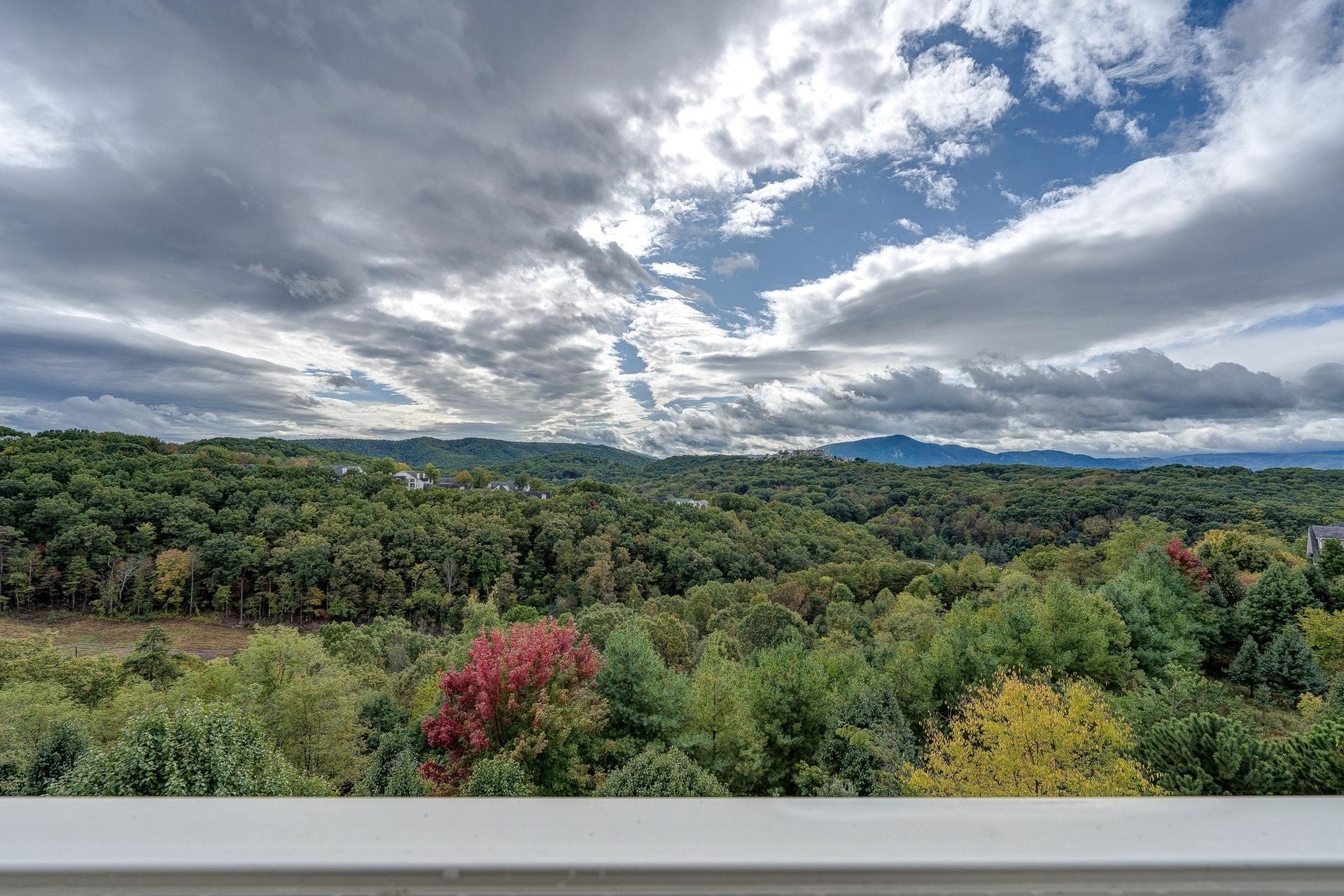 4438 Pheasant Ridge Road, Unit 305 Roanoke, VA 24014 - Photo 21 of 28 021-330454-DSC00236_37_38_39_40_8322993