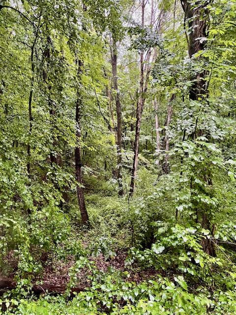 22800 Struwin Road Battle Creek, MI 49017 - Photo 65 of 69 IMG_1086