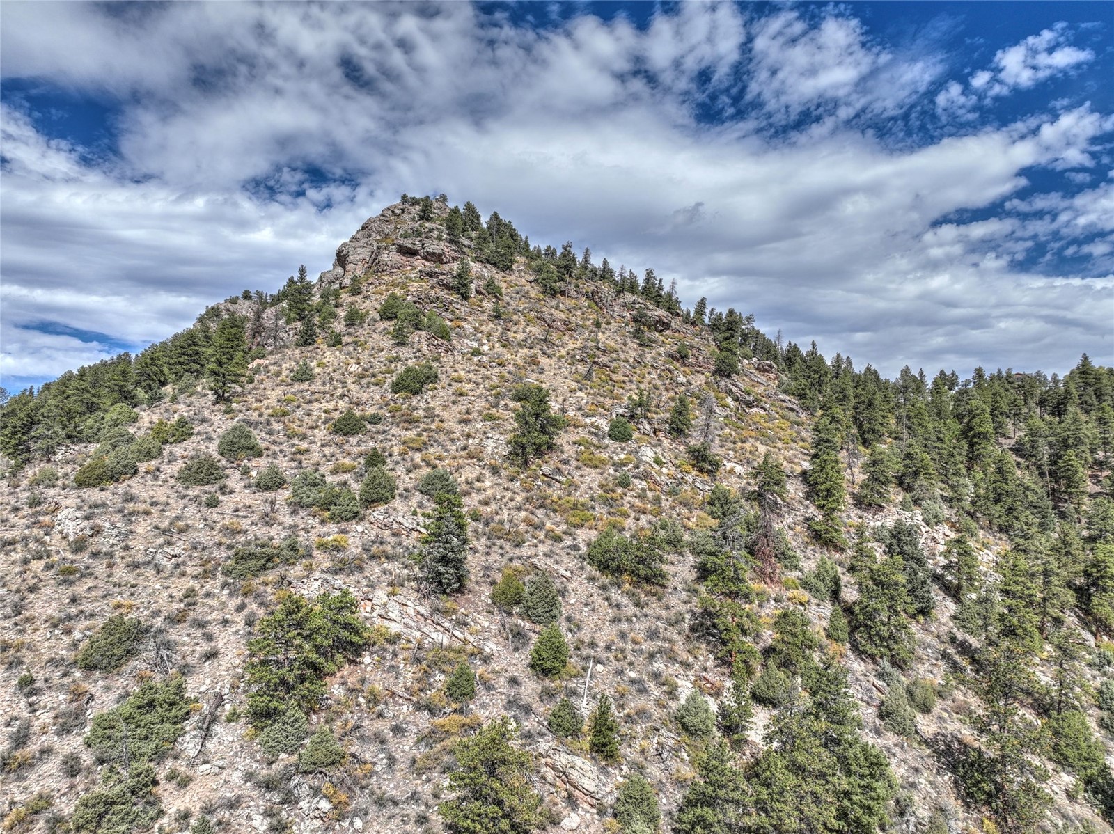 1913 South Ridge Road Bailey, CO 80421 - Photo 14 of 40 Mountain view
