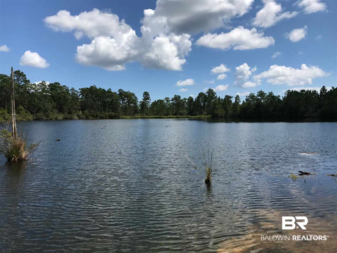 0 Kings Ldg Road Seminole, AL 36574 - Photo 10 of 17