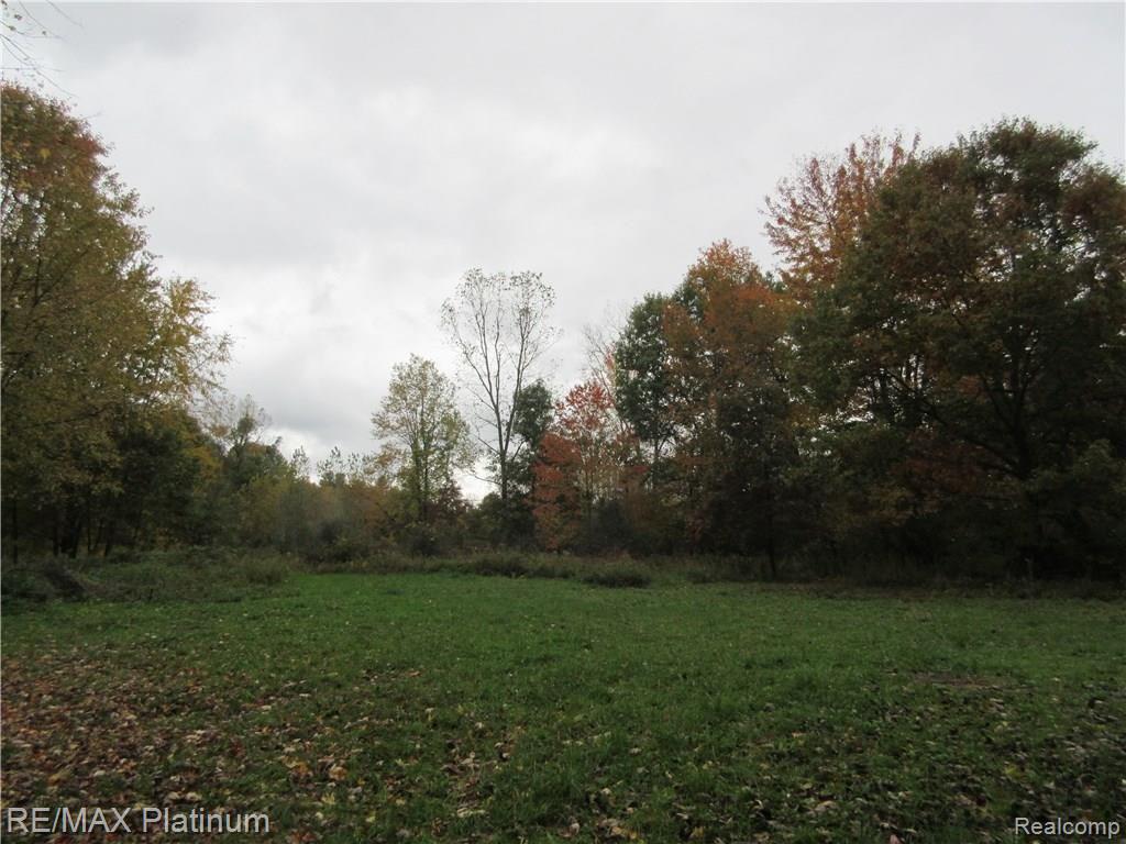 Vl Euler Road Brighton, MI 48114 - Photo 4 of 8