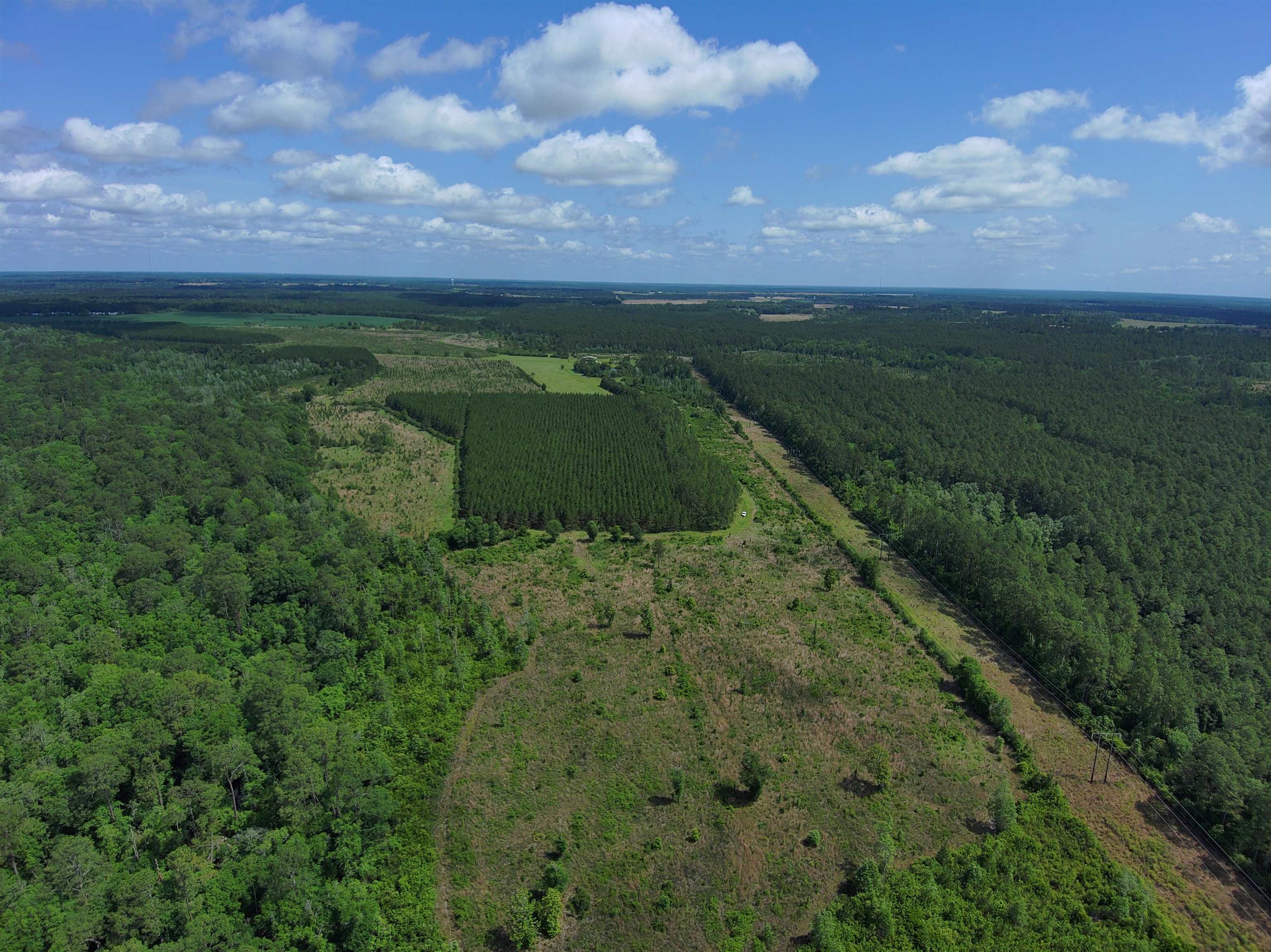 87 County Road 87 Elberta, AL 36530 - Photo 28 of 66