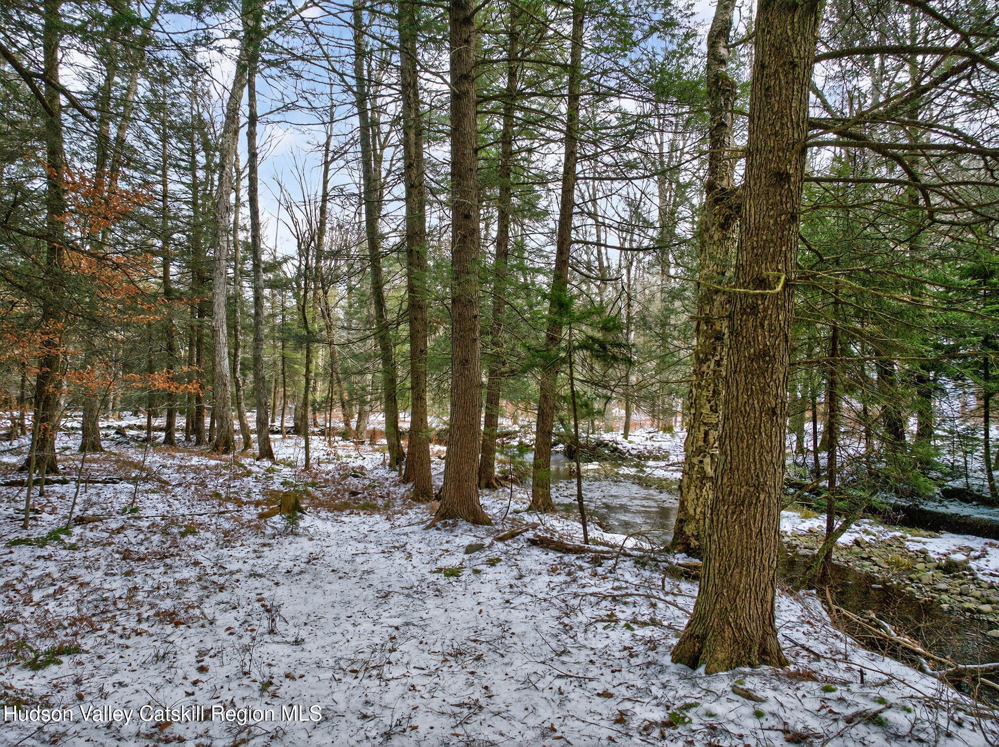 Tbd Tbd Roaring Kill Road Elka Park, NY 12427 - Photo 16 of 45 17-web-or-mls-roaringkill-rd