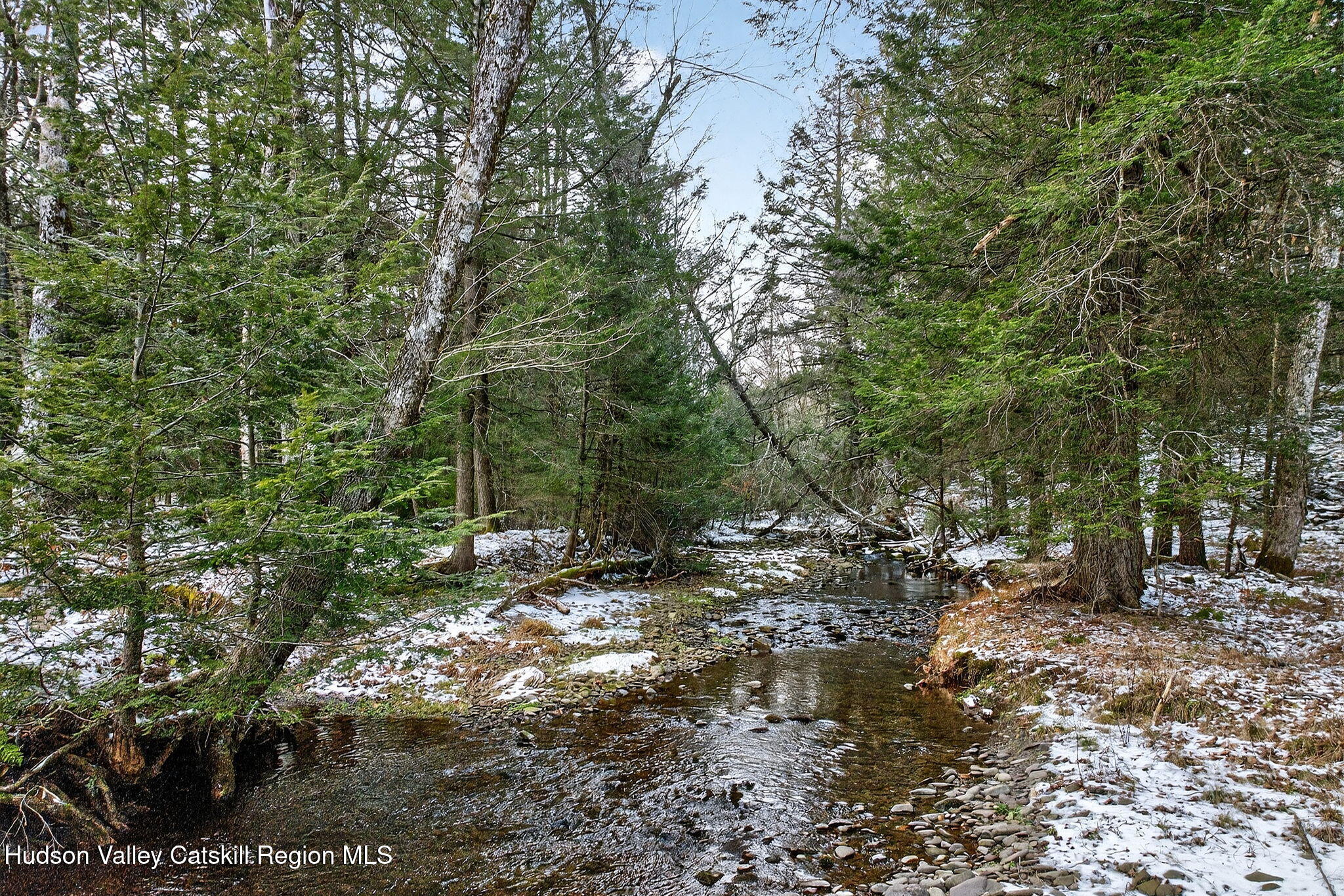 Tbd Tbd Roaring Kill Road Elka Park, NY 12427 - Photo 19 of 45 30-web-or-mls-roaringkill-rd