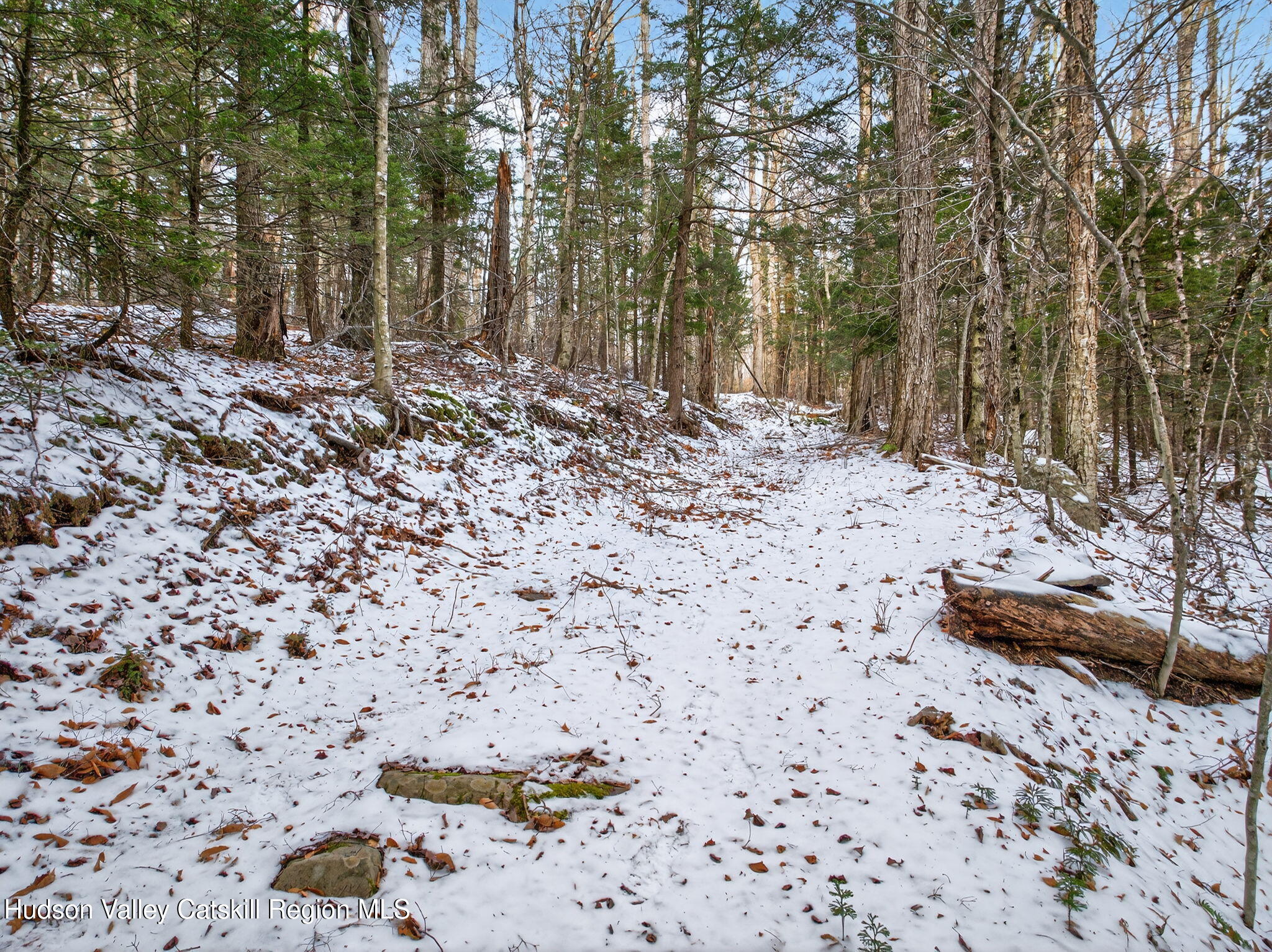 Tbd Tbd Roaring Kill Road Elka Park, NY 12427 - Photo 31 of 45 18-web-or-mls-roaringkill-rd