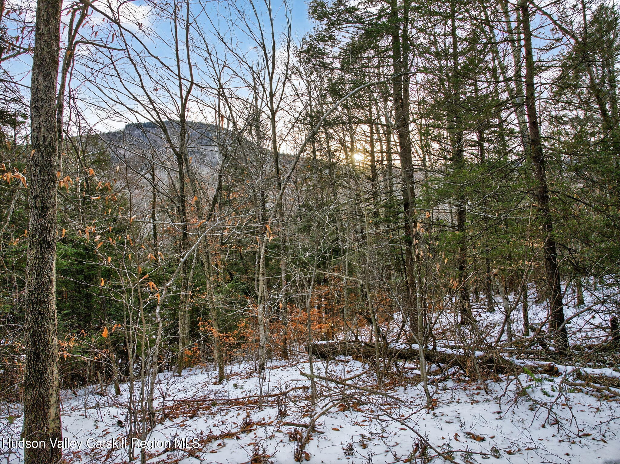 Tbd Tbd Roaring Kill Road Elka Park, NY 12427 - Photo 32 of 45 20-web-or-mls-roaringkill-rd