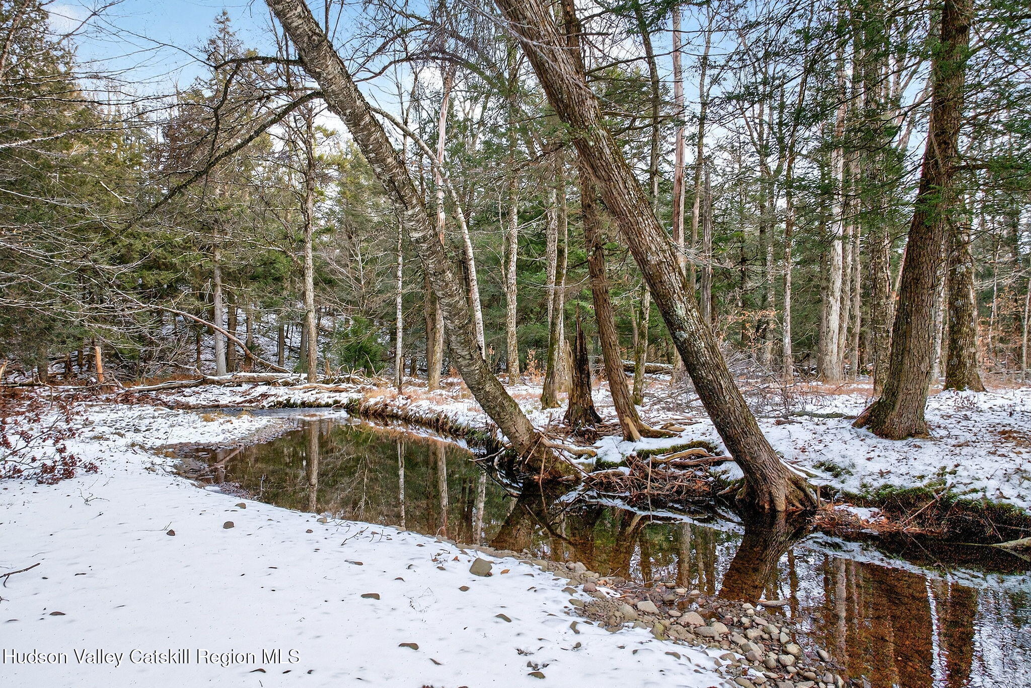 Tbd Tbd Roaring Kill Road Elka Park, NY 12427 - Photo 35 of 45 25-web-or-mls-roaringkill-rd