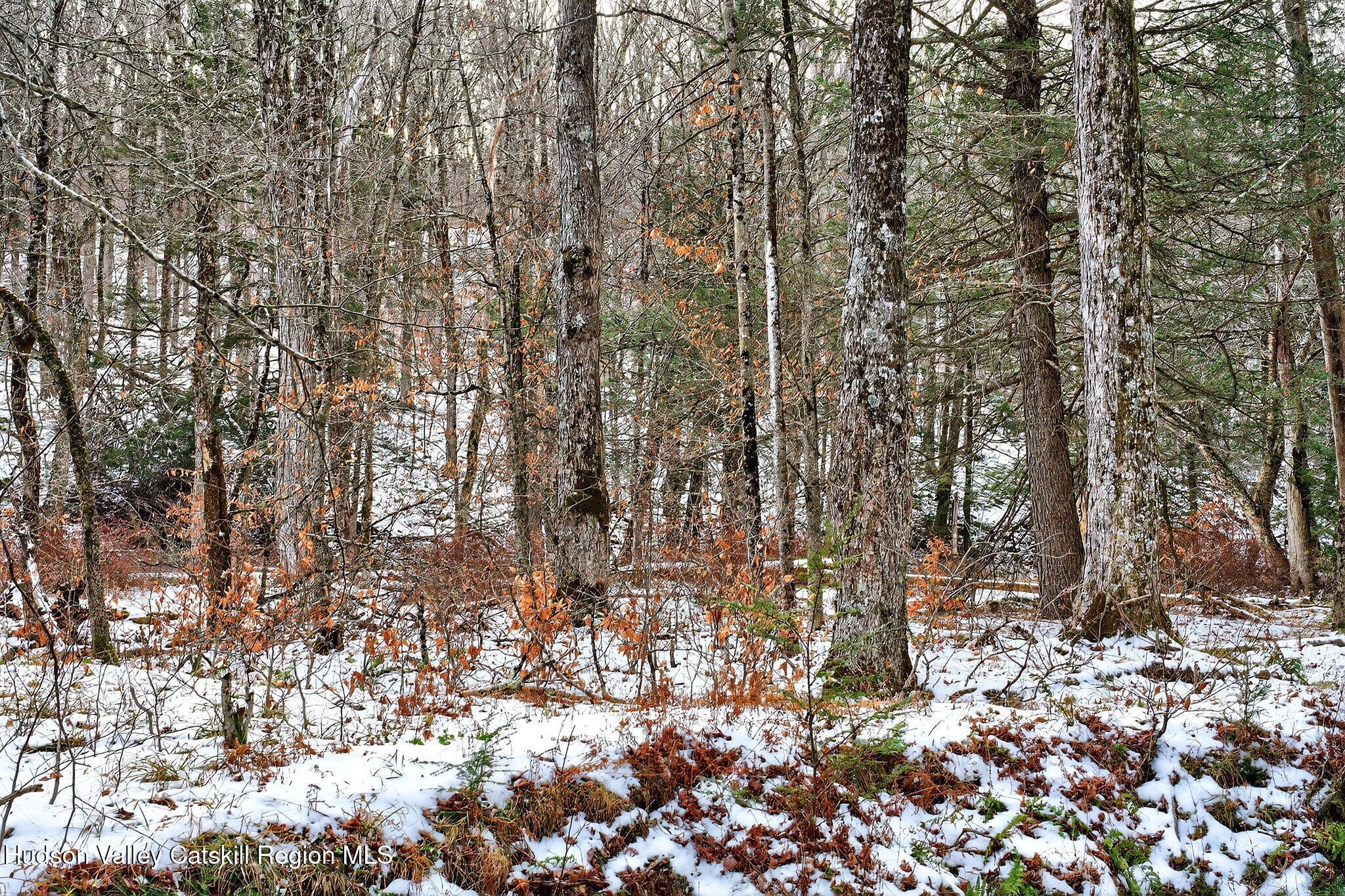 Tbd Tbd Roaring Kill Road Elka Park, NY 12427 - Photo 40 of 45 34-web-or-mls-roaringkill-rd