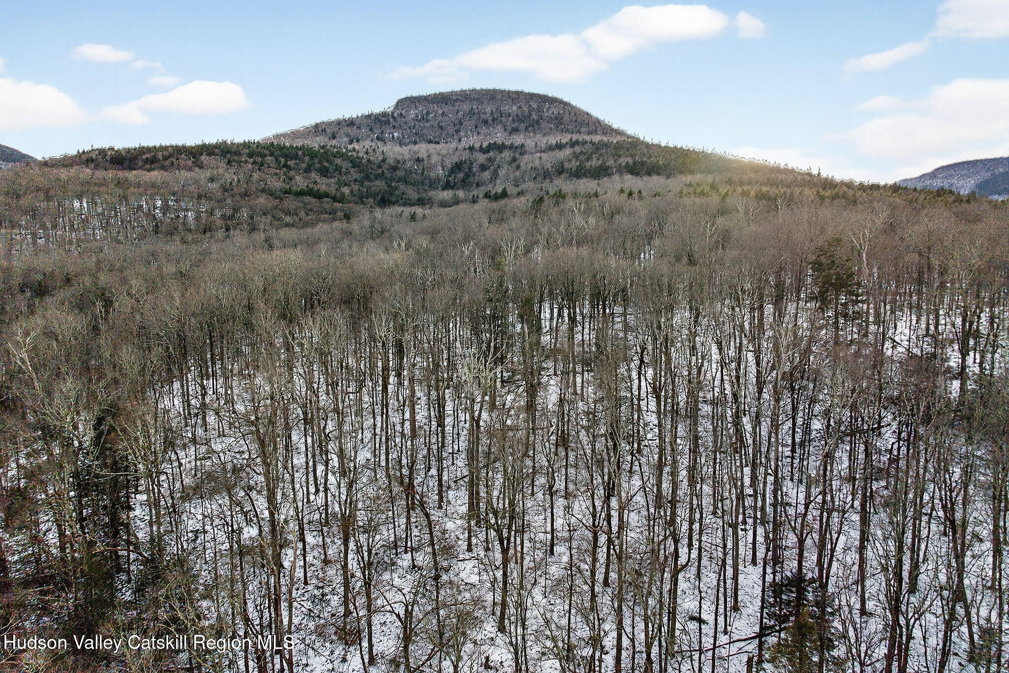 Tbd Tbd Roaring Kill Road Elka Park, NY 12427 - Photo 41 of 45 35-web-or-mls-roaringkill-rd