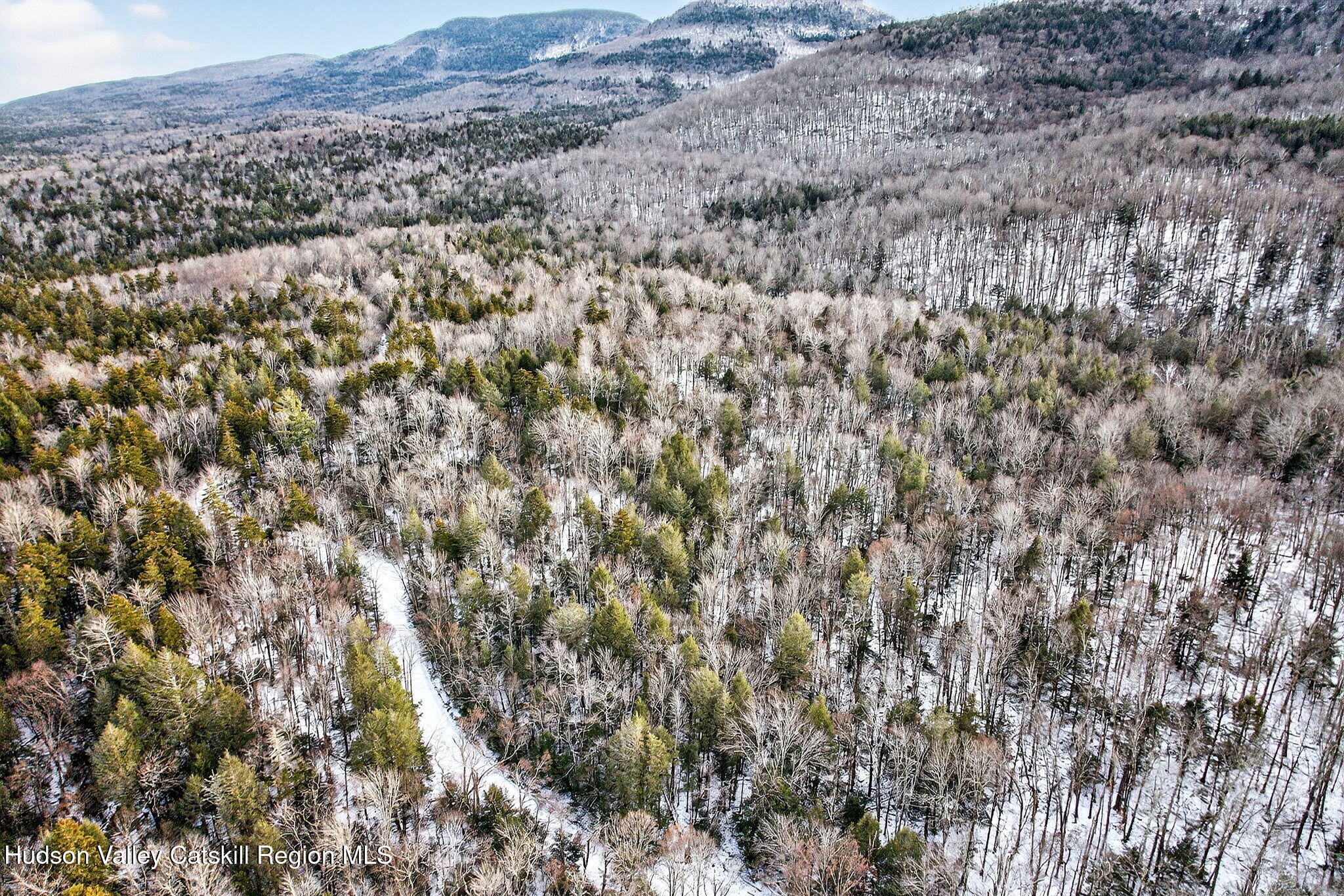 Tbd Tbd Roaring Kill Road Elka Park, NY 12427 - Photo 44 of 45 39-web-or-mls-roaringkill-rd