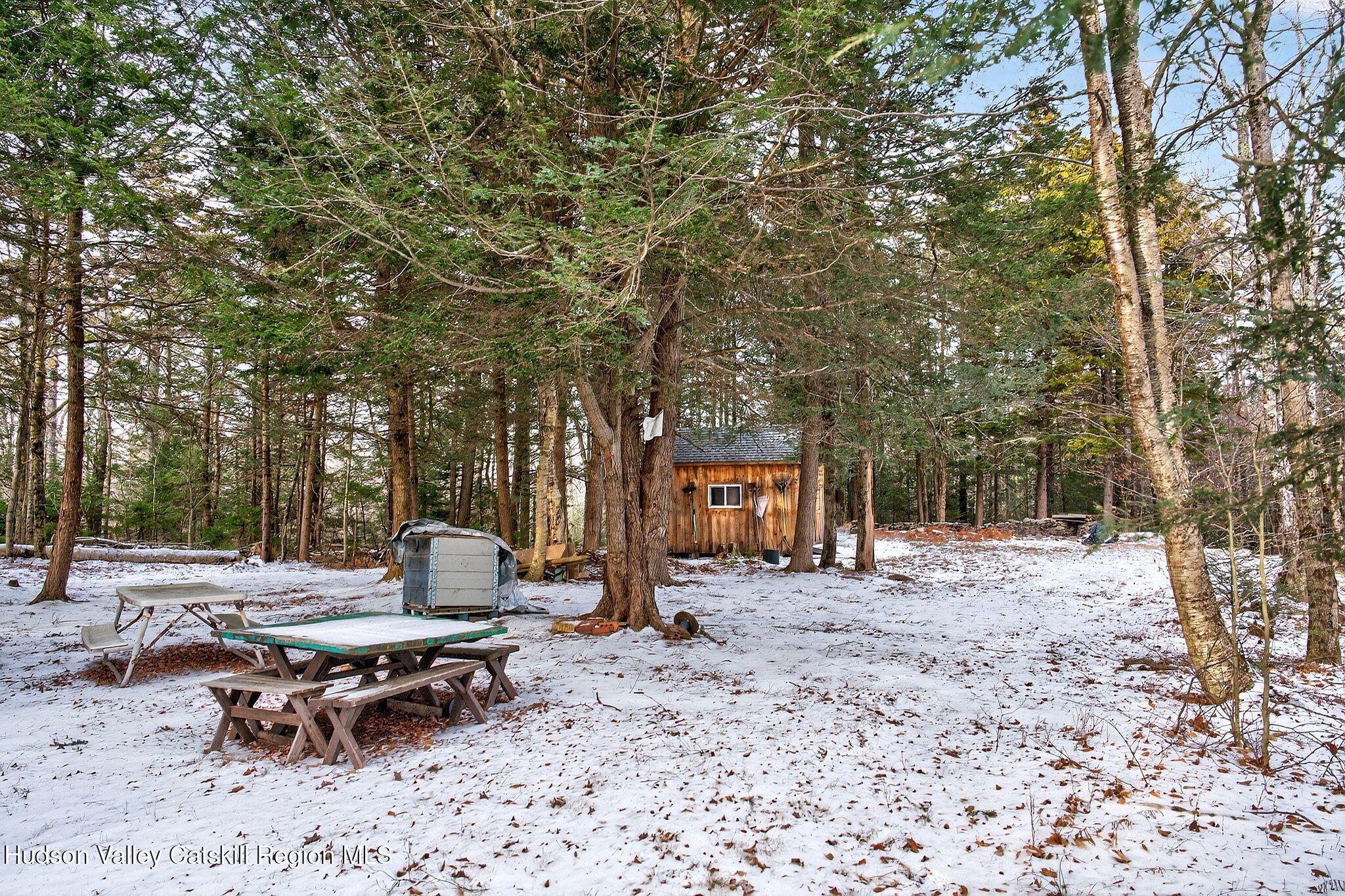 Tbd Tbd Roaring Kill Road Elka Park, NY 12427 - Photo 5 of 45 7-web-or-mls-roaringkill-rd