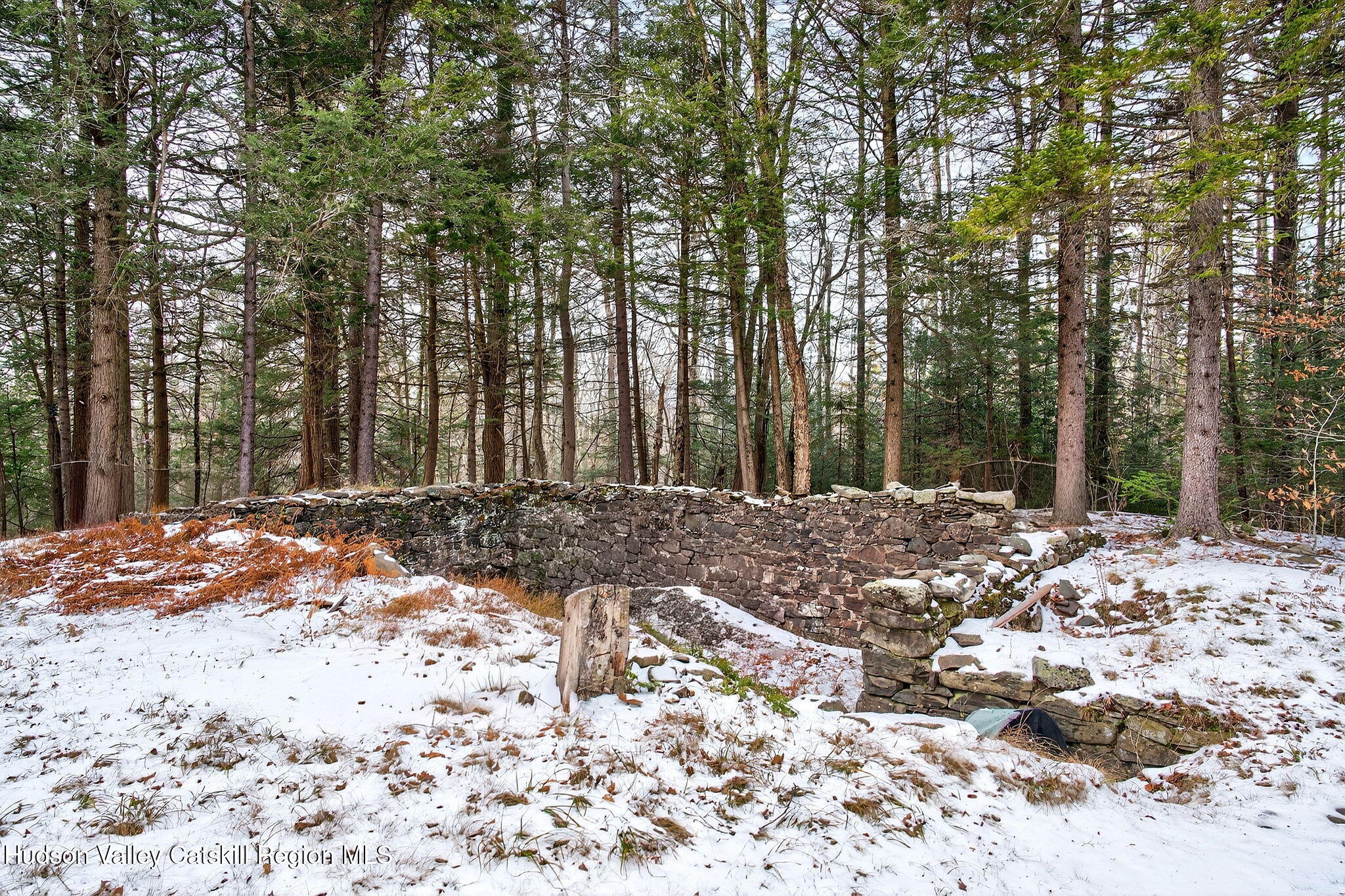 Tbd Tbd Roaring Kill Road Elka Park, NY 12427 - Photo 6 of 45 8-web-or-mls-roaringkill-rd