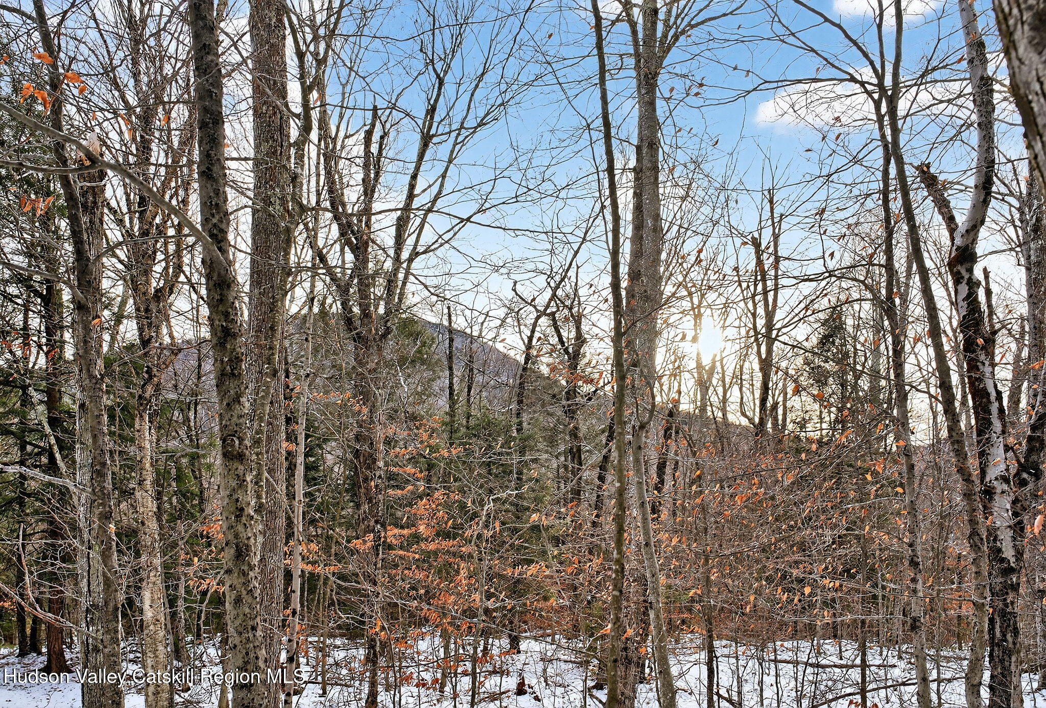 Tbd Tbd Roaring Kill Road Elka Park, NY 12427 - Photo 7 of 45 13-web-or-mls-roaringkill-rd