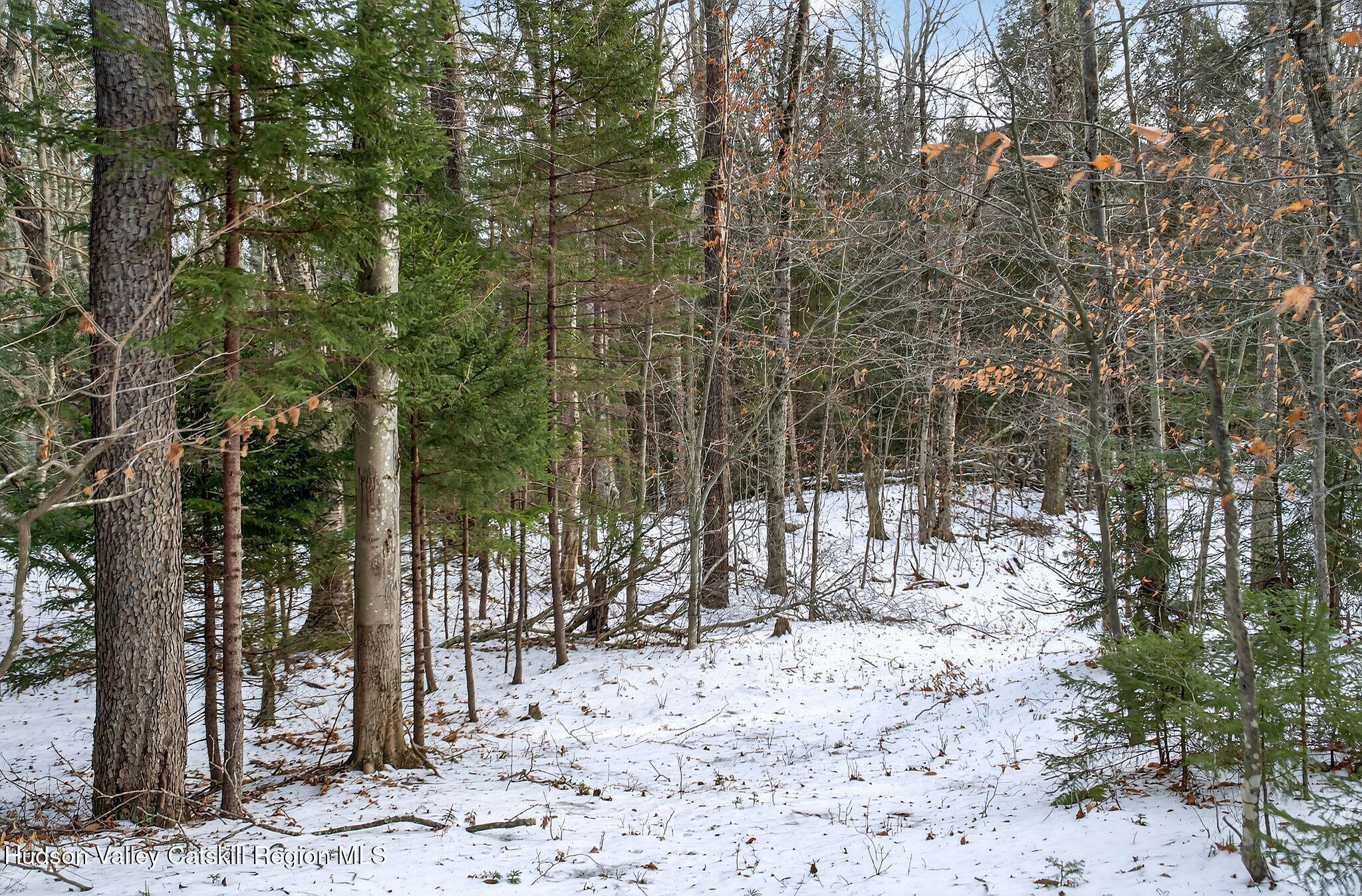 Tbd Tbd Roaring Kill Road Elka Park, NY 12427 - Photo 9 of 45 11-web-or-mls-roaringkill-rd
