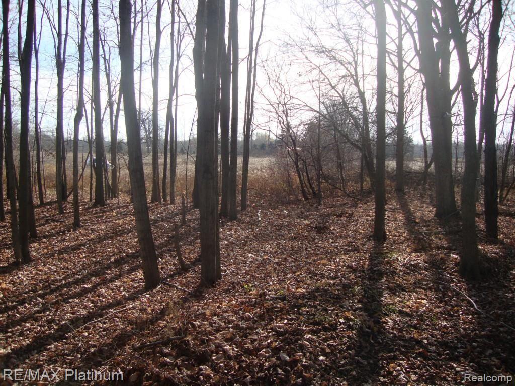 Vac West Iosco Road Fowlerville, MI 48836 - Photo 9 of 13