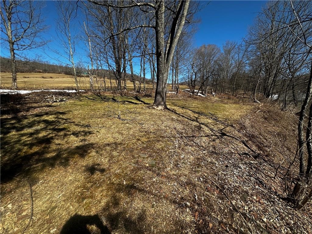 445 Main Street Andes, NY 13731 - Photo 18 of 18