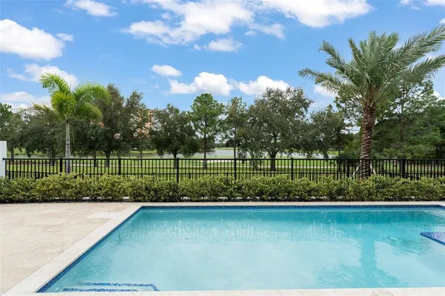 a view of a park with a large trees