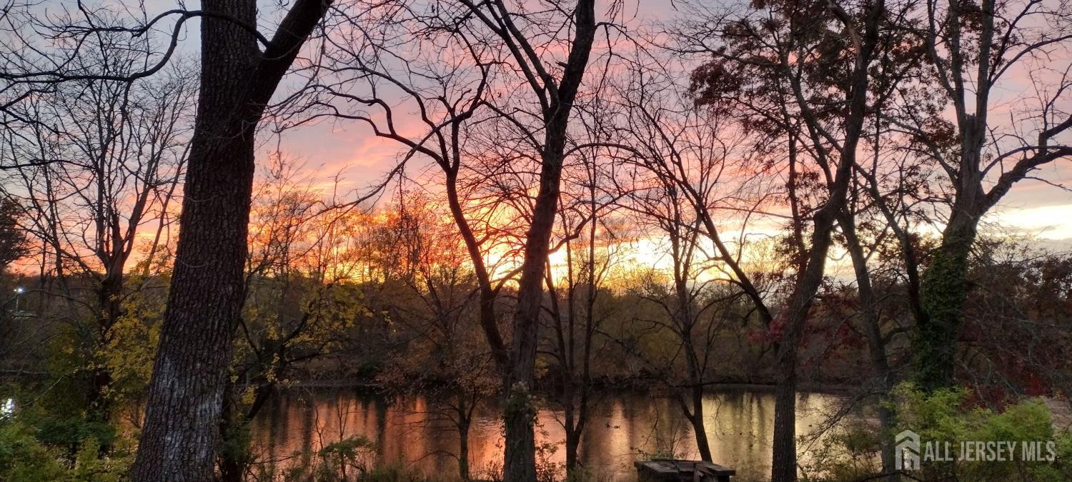 900 River Road Piscataway, NJ 08854 - Photo 36 of 37 a view of trees in front of house