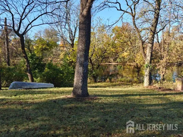 a view of a tree in the middle of a yard