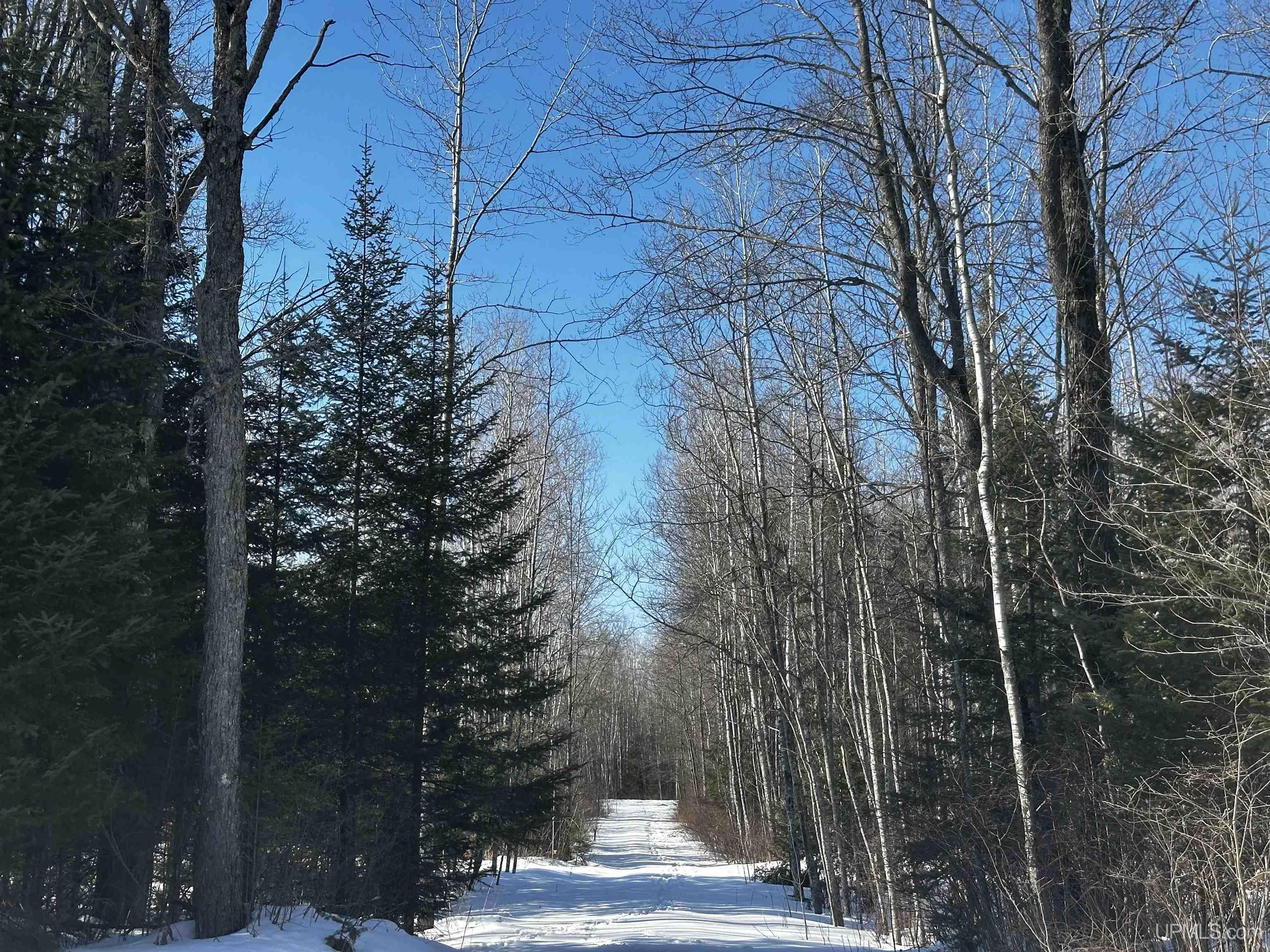 8333 Solberg Lake Road Iron Mountain, MI 49801 - Photo 1 of 8