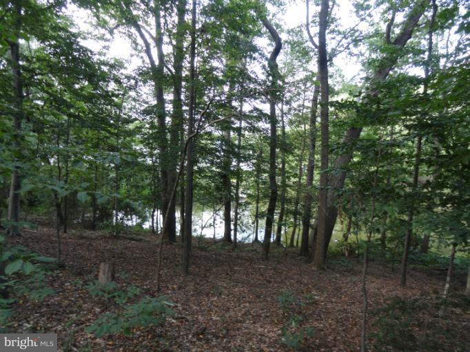 12391 Barrett Farm Road Worton, MD 21678 - Photo 9 of 22 View