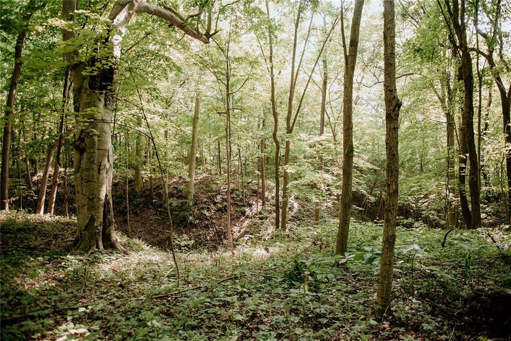 3442 South Starkey Road Covington, IN 47932 - Photo 27 of 37