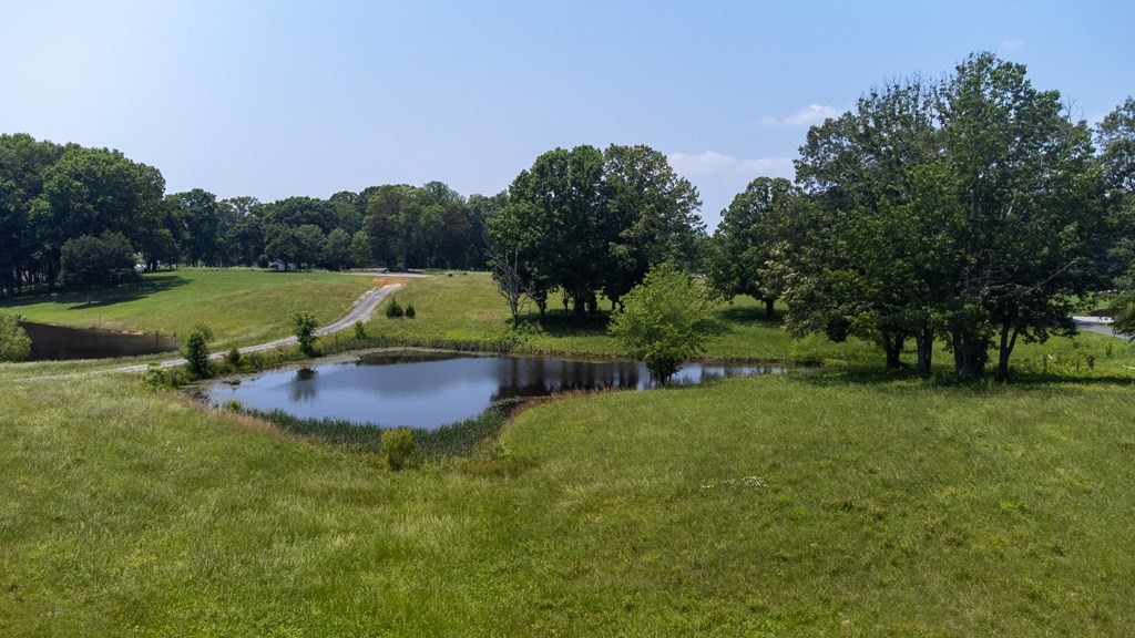 0 McCorkle Road Baneberry, TN 37890 - Photo 13 of 18