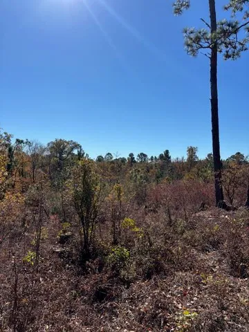 $219,900 | 5038 Aggravashun Circle, Wagener, SC 29164