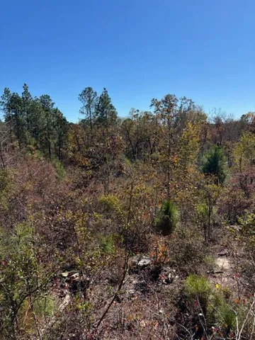 $219,900 | 5038 Aggravashun Circle, Wagener, SC 29164