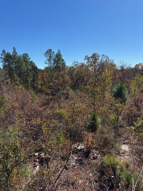 5038 Aggravashun Circle Wagener, SC 29164 - Photo 5 of 6 IMG_5840