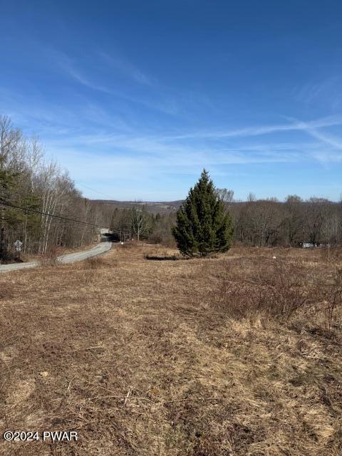 546 Scott Center Road Starrucca, PA 18462 - Photo 10 of 16 VIEW