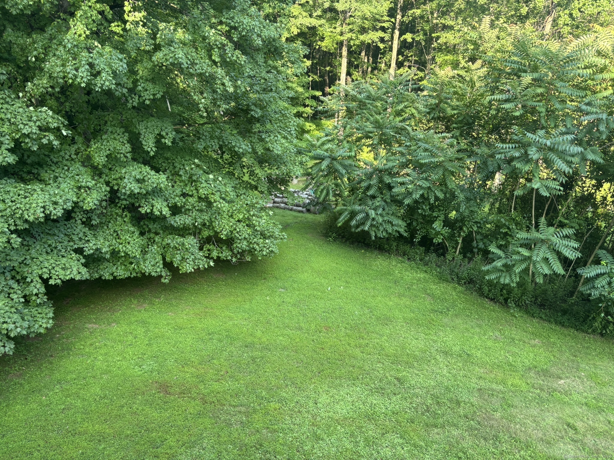 16 Plank Road Prospect, CT 06712 - Photo 35 of 40 a view of a green yard