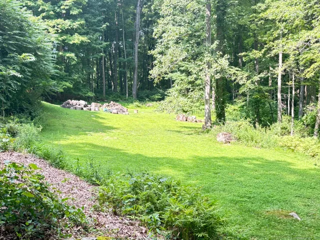 a view of yard with green space