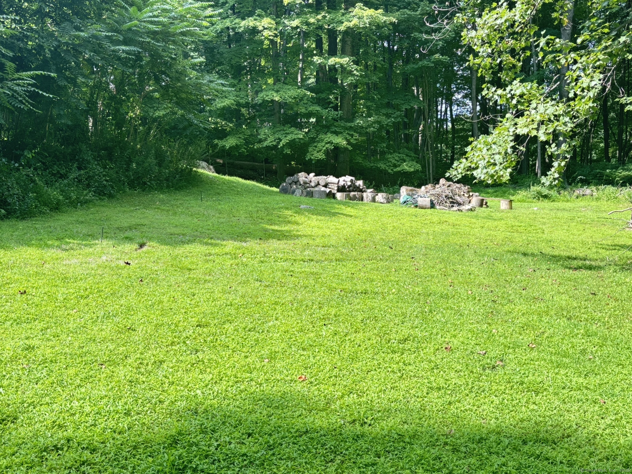 16 Plank Road Prospect, CT 06712 - Photo 37 of 40 a view of yard with green space