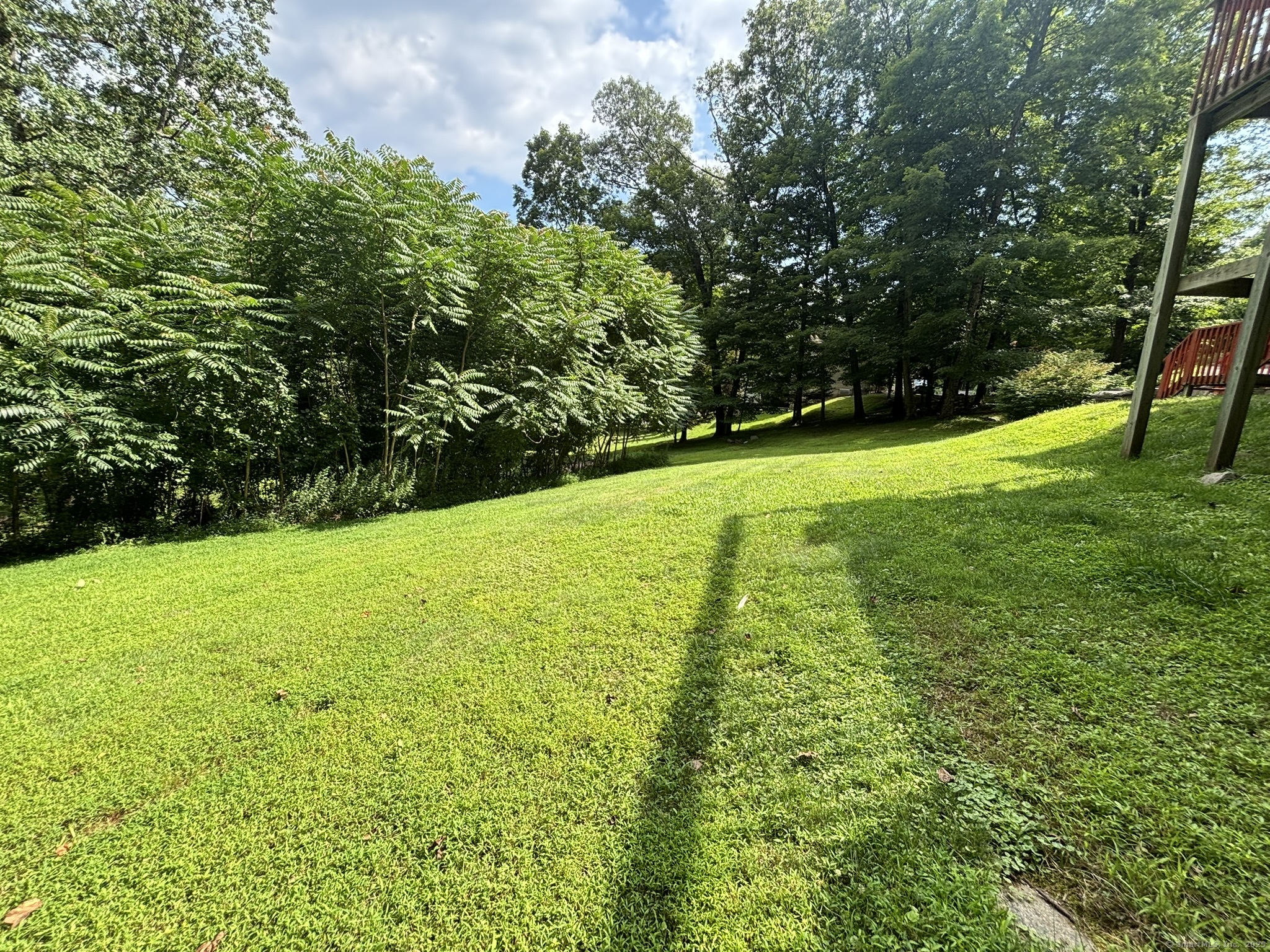 16 Plank Road Prospect, CT 06712 - Photo 39 of 40 a view of yard with green space