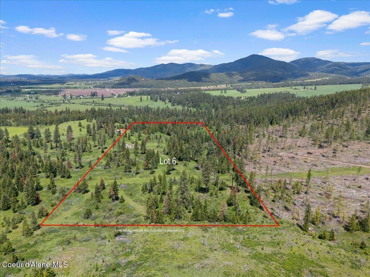 572 Foote Road Desmet, ID 83824 - Photo 7 of 38 Parcel 4