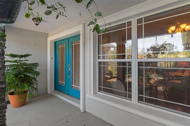a potted plant in front of a glass door